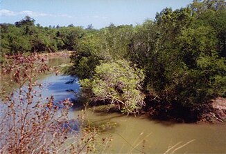 The Seiçal near its mouth in the Suco of the same name