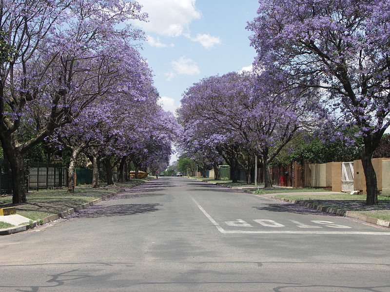 File:South Africa-Mpumalanga-Witbank02.jpg