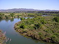 fiume Ebro