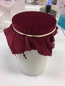 A sterile velvet on a plastic block for replica plating Sterile velvet on a block.jpg