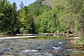 Steyrfluss in Oberleonstein