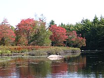 Kejimkujik National Park, Still Brook Still Brook in Fall.jpg