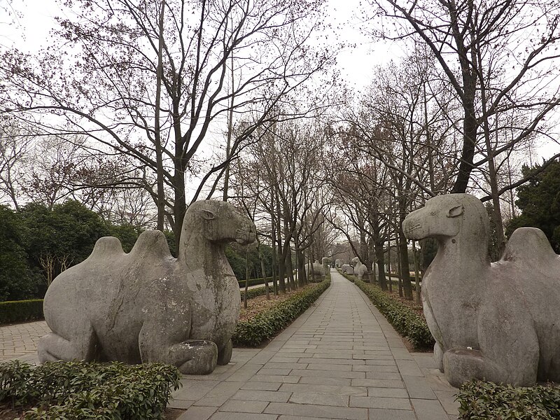 File:Stone Elephant Road - camels - P1060454.JPG