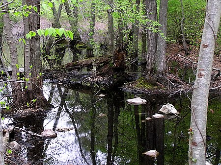 Stony Brook Reservation