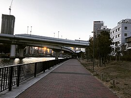 大川の遊歩道
