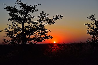 Sunset, Mapungubwe, Limpopo, South Africa (20550656381).jpg
