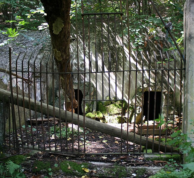 File:TübingerTiergarten2010.jpg