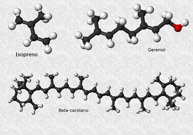 File:Terpenos.jpg