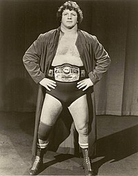 Terry Funk NWA Champion.jpg