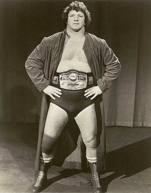 Terry Funk came to wrestle Jerry Lawler in 1981. The two faced each other twice and had two classic wrestling matches.