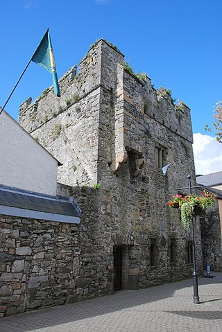 <span class="mw-page-title-main">The Mint (Carlingford)</span> Fortified house and National Monument, County Louth, Ireland