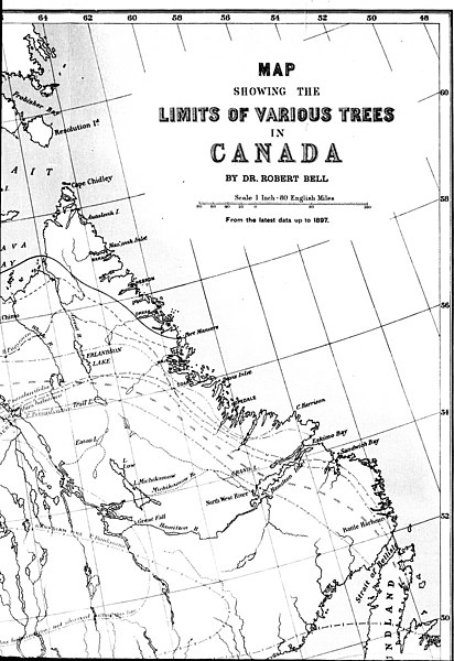 File:The geographical distribution of forest trees in Canada (with a map) (microform) (1897) (20622267682).jpg