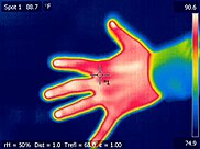 A thermal image of a human hand produced by a thermographic camera Thermal image - hand - 1.jpg