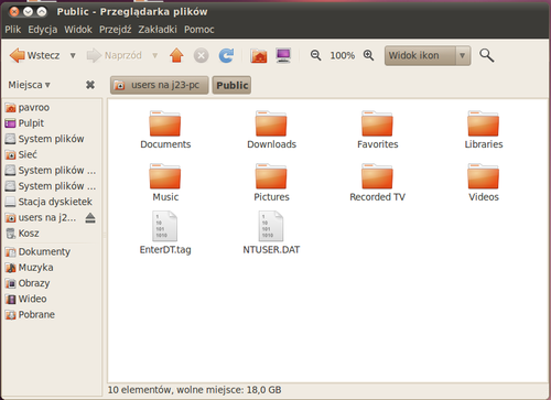 Ubuntu 10.04 tsclient5.png
