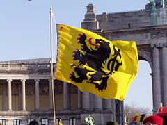 Неофициальная версия флага, поднятая на демонстрации в Брюсселе.