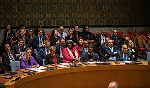 United Nations Security Council on Food Security and Climate Change on 13 February 2024 - 18.jpg