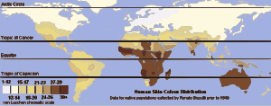 Human Skin Colour: Skin color of an individual as a result of genetics