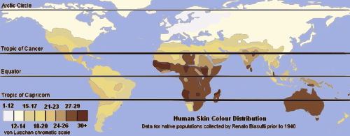 Etwas zweifelhafte Karte zur globalen indigenen Hautfarbenverteilung  aus Wikipedia, die sieben stat.