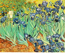 Vincent Van Gogh: Biyografi, Lèt, Penti