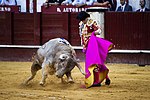 Miniatura para Cargar la suerte (tauromaquia)