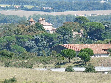 Vieillevigne31 castle1