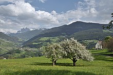 Viersch bei Klausen Sankt Katharina Kapelle Apfelbäume.jpg