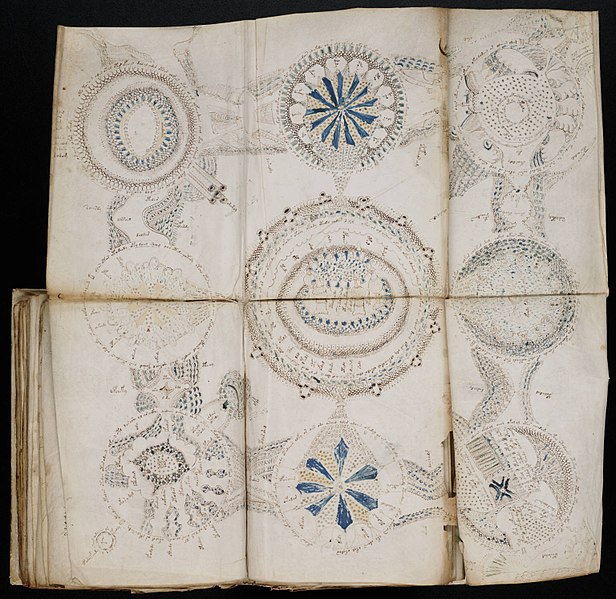 File:Voynich Manuscript (158).jpg