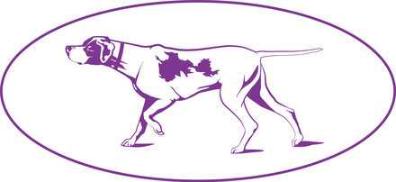 The Westminster Kennel Club was formed in 1877.