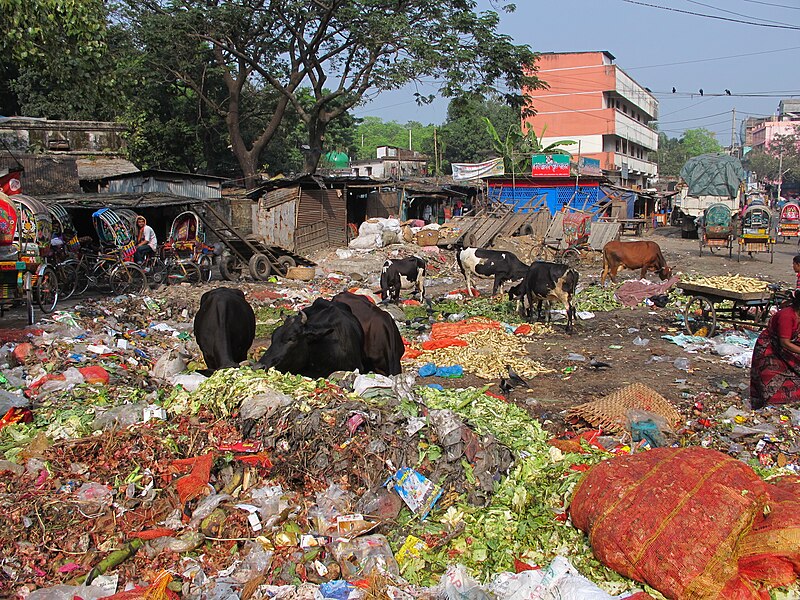 File:Waste in Chittagong 03.jpg