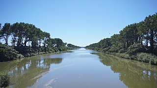 Water skiing at the 2001 World Games