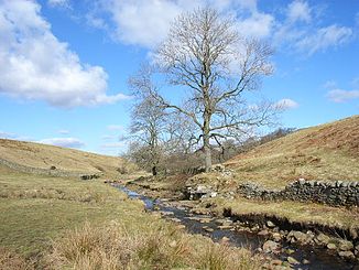 The Wellhope Burn