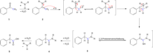 File:Willgerodt Kindler reaction mechm 7.svg