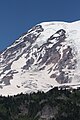 Wilson Glacier (Mount Rainier)