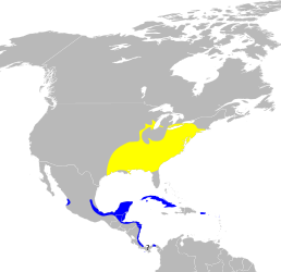 Мапа поширення виду      Гніздовий ареал     Зимовий ареал