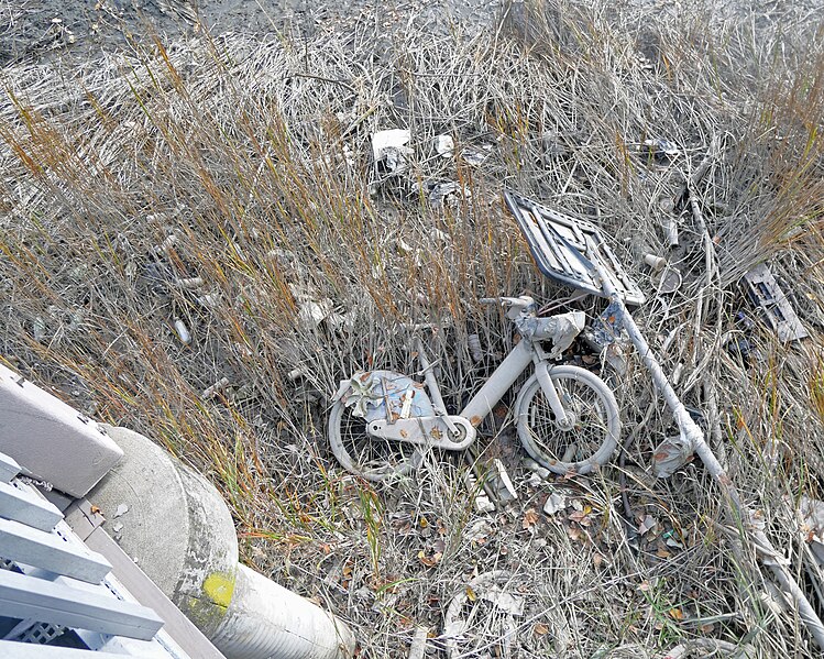 File:Wrecked Citibike in Pugsleys Creek 2023 jeh.jpg