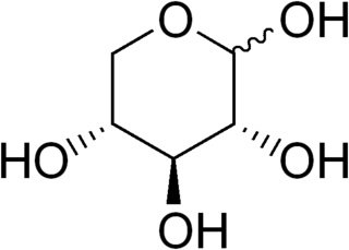 Xylosyltransferase