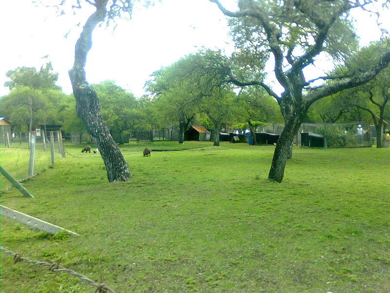 File:Zoo Municipal de Mercedes - panoramio (5).jpg