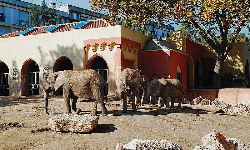 File:Zoo de Lisboa by Juntas 52.jpg