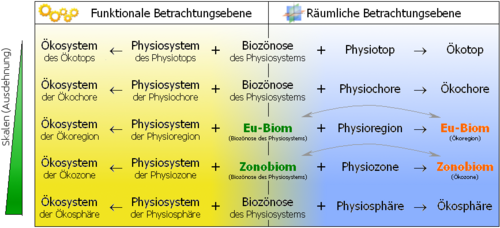 Biom: Begriff, Biomgröße, Biome nach Walter und Breckle: Zonobiome, Orobiome, Pedobiome