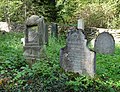 English: Gravestones in the Jewish cemetery by the village of Dub, Prachatice District, Czech Republic, with the star of David on the right Čeština: Náhrobní kameny na židovském hřbitově u městyse Dub, okres Prachatice, vpravo s Davidovou hvězdou