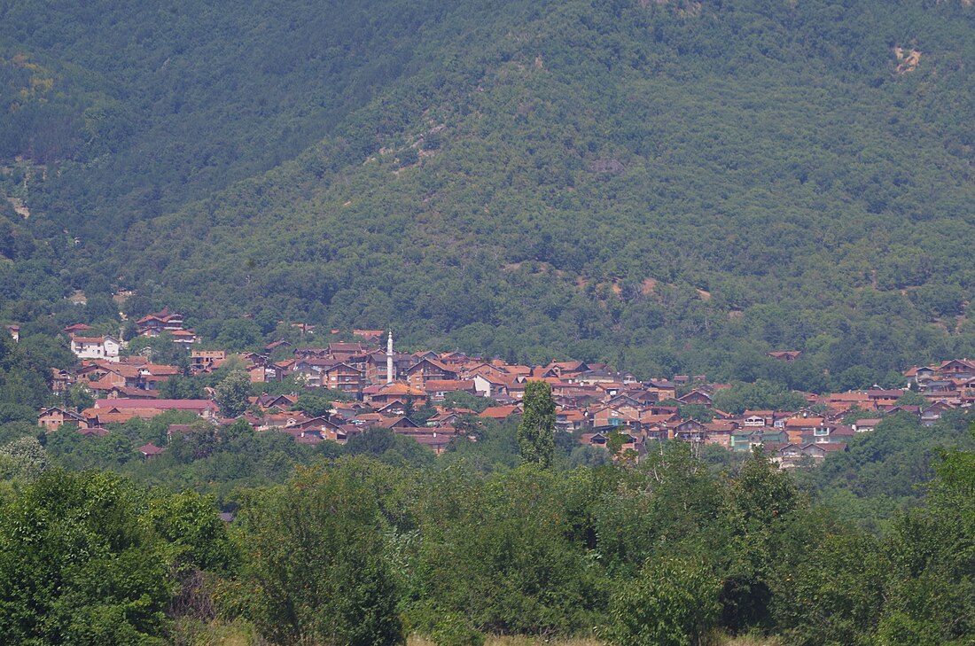 Podgorci, Struga