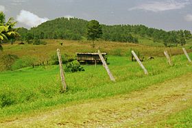 Вулканический конус Серро-Эль-Волкан (1999 г.). Снимок Смитсоновского института.