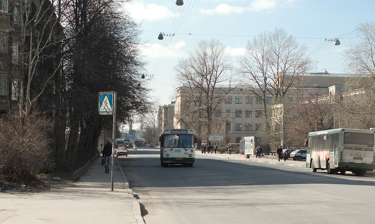 Двинская улица (Санкт-Петербург) — Википедия