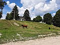 Сільський пейзаж.