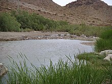 Zardasht river, the longest tributary of Halil river