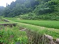 西三川里山谷戸の棚田