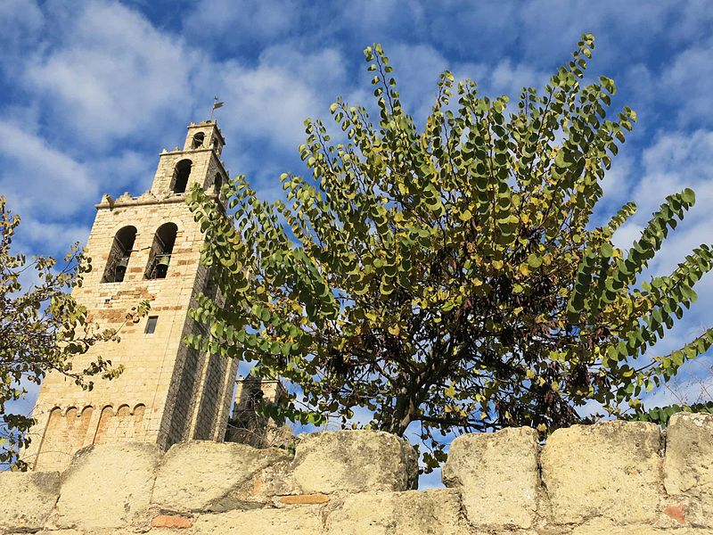 File:012 Monestir de Sant Cugat del Vallès, façana sud, campanar.JPG