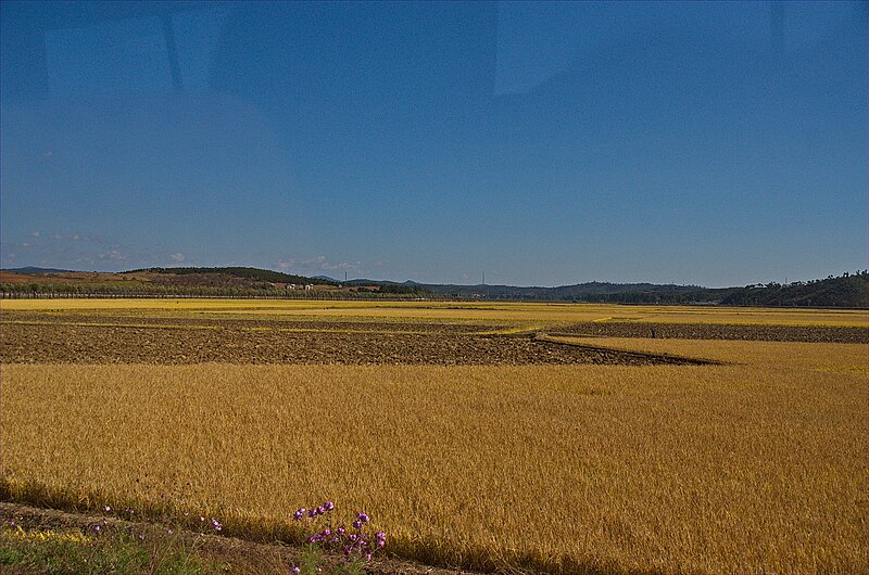 File:1210 - Nordkorea 2015 - von Myohyang Bergen nach Pjöngjang (22959746652).jpg