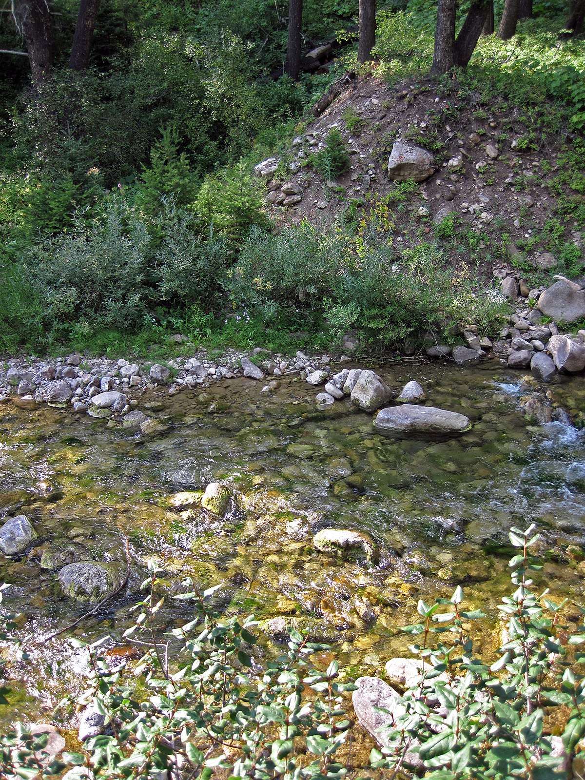 File:1959 Hebgen Lake Earthquake fault scarp & Cabin Creek ...