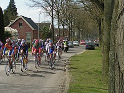 2008 Ronde van Drenthe 1.jpg